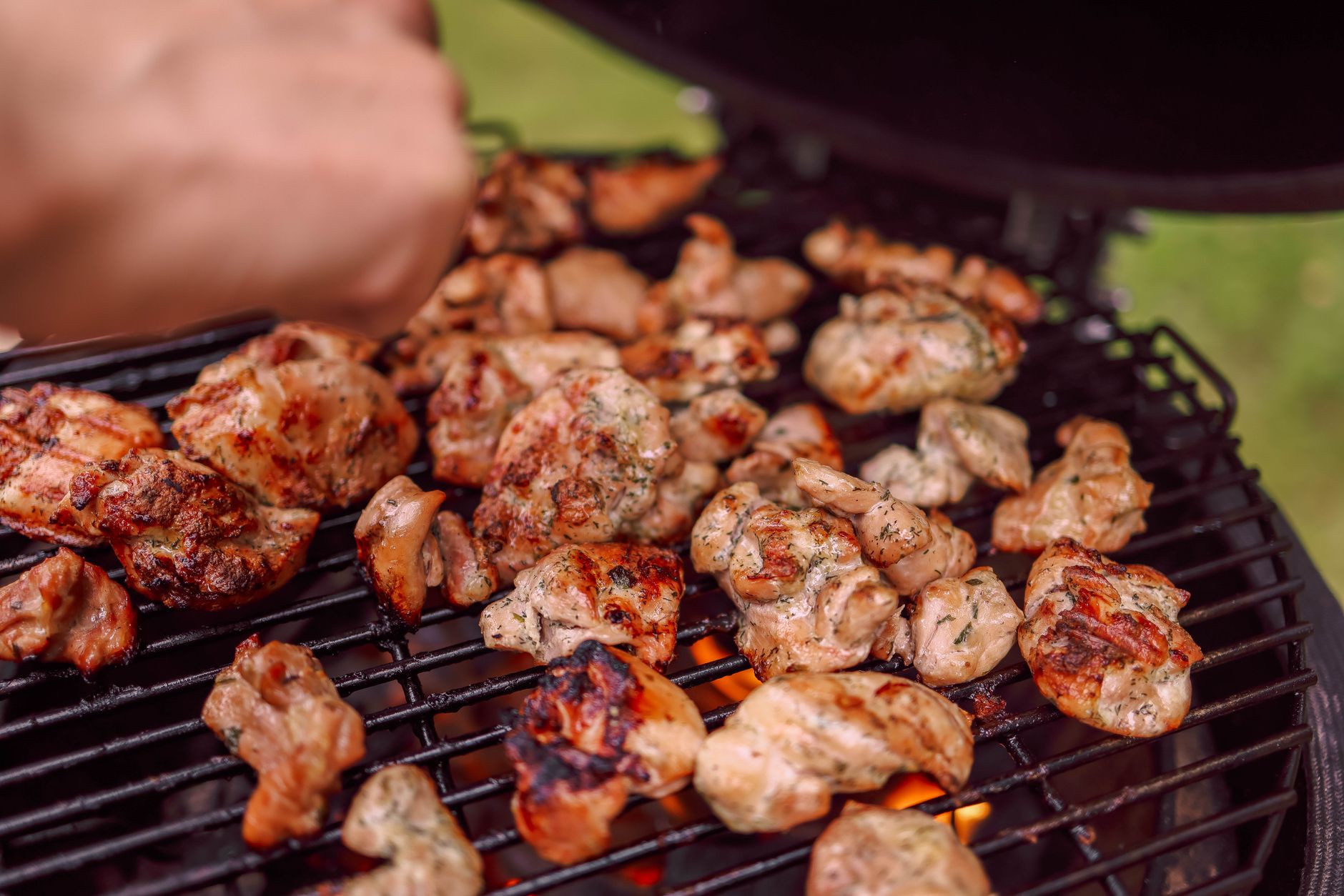 Ilustracja: Grill gazowy ogrodowy – jak wybrać model dopasowany do Grill gazowy ogrodowy – jak wybrać model dopasowany do ogrodu - zdjecie w tresci